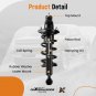 Rear Struts w/ Coil Spring Assembly for 2001 2002-2005 Honda Civic Si/LX/EX/DX