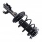 Front Suspension Strut Coil Spring For 2012-2017 Toyota Camry 2.5LITER L4 SE/XSE