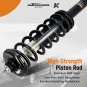 Rear Complete Strut Assembly Shock for 2004-2008 Acura TL 3.2L 3.5L V6