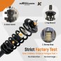 Rear Complete Strut Assembly Shock for 2004-2008 Acura TL 3.2L 3.5L V6