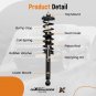 Rear Complete Strut Assembly Shock for 2004-2008 Acura TL 3.2L 3.5L V6