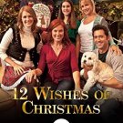 12 Wishes of Christmas 2011 on DVD Movie $9.99