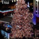 The Christmas Tree 1996 on DVD