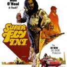 Superfly T N T with Ron O'Neal DVD Movies