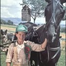 Born to Run (1979) DVD Movie