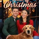 Tails of Christmas (2024) DVD Movie