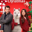 We Wish You A Married Christmas 2022 DVD Movie