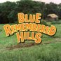 Play for Today Blue Remembered Hills (1979) Starring Colin Welland on DVD