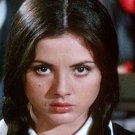 Schoolgirl Report Part 5: What All Parents Should Know (1973) with English Subtitles on DVD