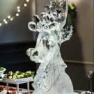 Ice Sculpture Christmas DVD Movies