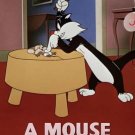 A Mouse Divided (1953) Starring Mel Blanc on DVD