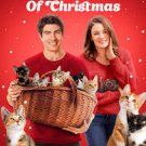 Nine Kittens of Christmas, The (2021) DVD Movies