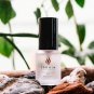 Pheromones for Men, Pheromone Cologne to Attract Women, 1 Bottle
