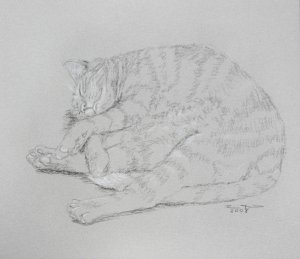 Original Black and White Conte Crayon Drawing Sleeping Tabby Cat toned paper Art by LJT