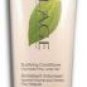 Matrix Biolage Bodifying Conditioner 8.5 oz