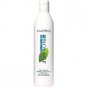 Matrix Biolage Anti-Dandruff Shampoo 13 oz