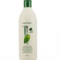 Matrix Biolage Cool Mint Shampoo 33.8 oz