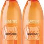 Matrix (SL) Sleek Look Iron Smoother 8.5 oz (x2)