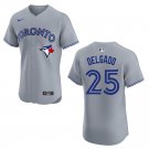 Men's & Youth Blue Jays #25 Carlos Delgado Gray Stitched Jersey