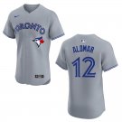 Men's & Youth Blue Jays #12 Roberto Alomar Gray Stitched Jersey