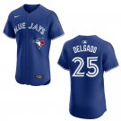 Men's & Youth Blue Jays #25 Carlos Delgado Royal Blue Stitched Jersey