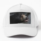 Sun Bear Portrait Baseball Cap Casquette Hat Golf Hats Sun