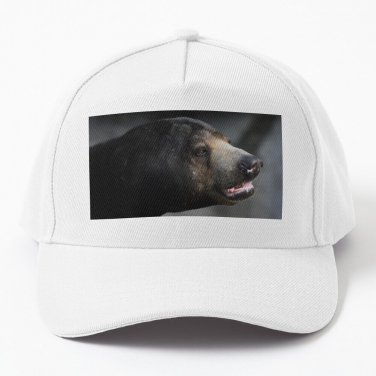 Sun Bear Portrait Baseball Cap Casquette Hat Golf Hats Sun