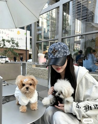 LV versatile baseball cap (225)