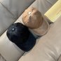 LV versatile baseball cap (518)
