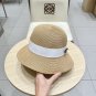 Premium Canvas Adjustable Hat Casual Daily Accessory (106)