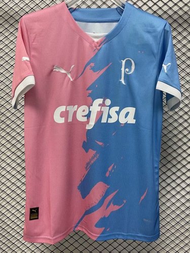 23-24 Palmeiras Pink Blue Special Edition Training s