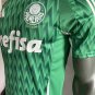 24-25 Palmeiras Green Special Edition Player Version   A+