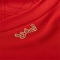 Morocco 2025 Home  by PUMA