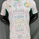 player version 25-26 Senegal home jersey size S-2XL