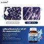 Dr.PONG Undenatured collagen type II 40 mg collagen for knee joints Genuine