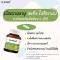 Dr.Pong [Anti-oxidant+Energy] G100 green tea extract Import USA 30 Cap