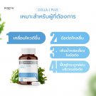 MORTIW Branz (Dr. Thiew) - Brain function, memory, concentration. 30 capsules, 596 mg. MORTIW Branz (Dr. Thiew) - Brain function, memory, concentration. 30 capsules, 596 mg.