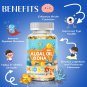 VITA DHA+Algal Oil Capsules, Algae Oil + DHA, Children's Vitamins, Multivitamin