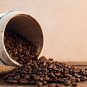 Whiskey Barrel Aged Coffee Beans 5LB Bag Roasted Fresh Expresso