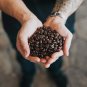 Whiskey Barrel Aged Coffee Beans 5LB Bag Roasted Fresh Expresso
