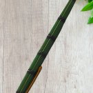 Penpps St Fountain Pen Ink Pen Aerometric Filler F Hooded Nib Old Stock 1990S Bamboo