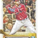 William Contreras 2022 Topps Gypsy Queen #3 Atlanta Braves Baseball Card