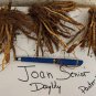 JOAN SENIOR Daylily 3 fans root systems FJ