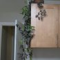 Violet Hill Tradescantia Zebrina Trailing Wandering Jew Houseplant 3 L Clippings FJ