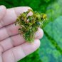 Bucephalandra Sanggau Green Jade FJ