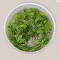 Anubias Minima Dragon Claw Tissue Culture FJ
