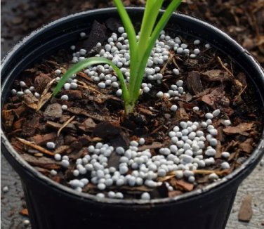 ~Nutricote~ 180 Day Safe Slow Time Release Fertilizer 12 oz HOBBY PACK FJ