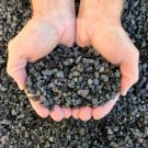 Black Lava For Bonsai Soil, Succulents, Cactus, Soil Mixes and Top FJ