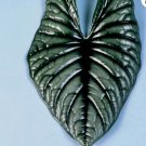 Imperialis Elephant Ear - Alocasia nebula - Live Plant FJ