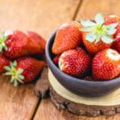 Albion Strawberry - Day Neutral Strawberry Plants (25 Bare-Root plants) FJ